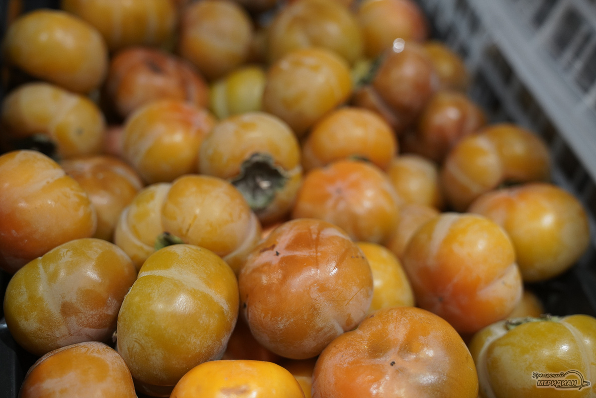    Фото: Лидия Аникина © ИА «Уральский меридиан»