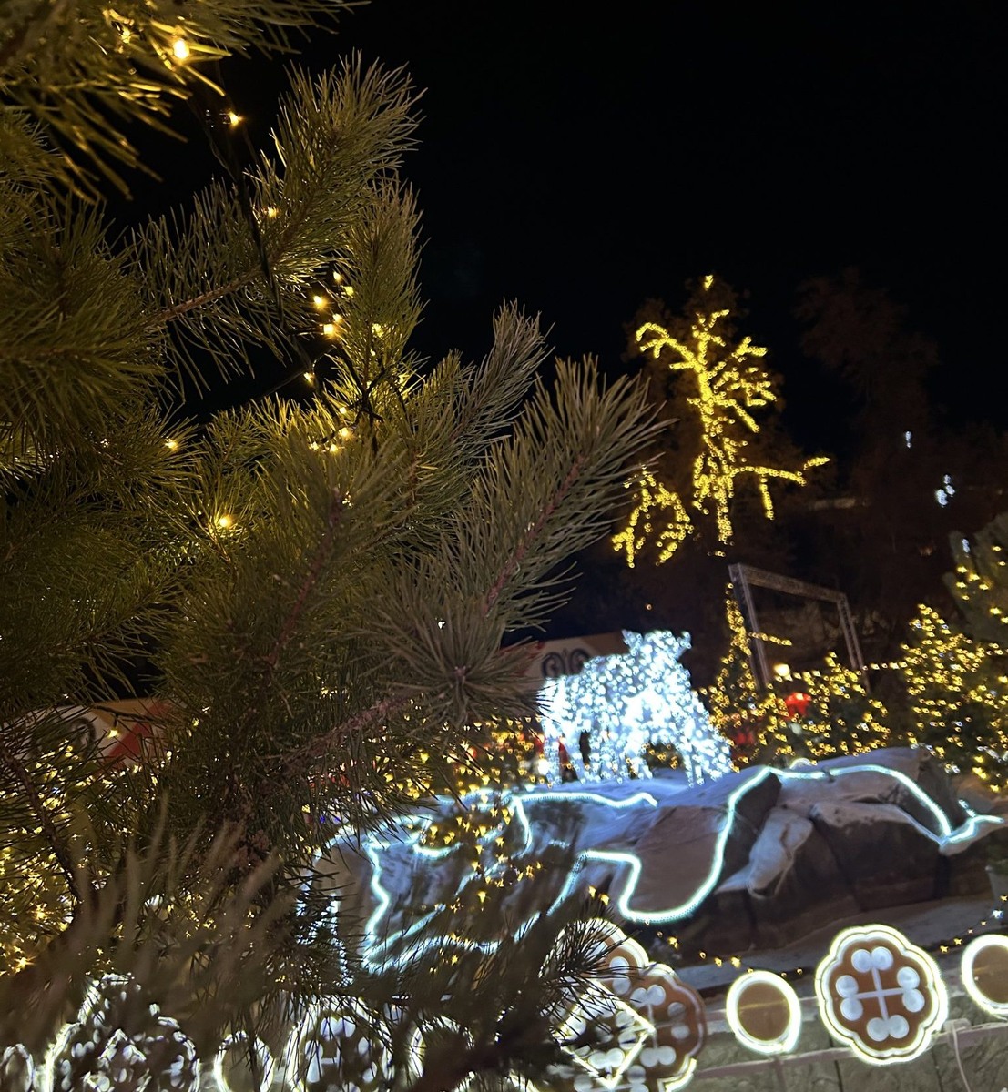 Фото: Александра Мысина