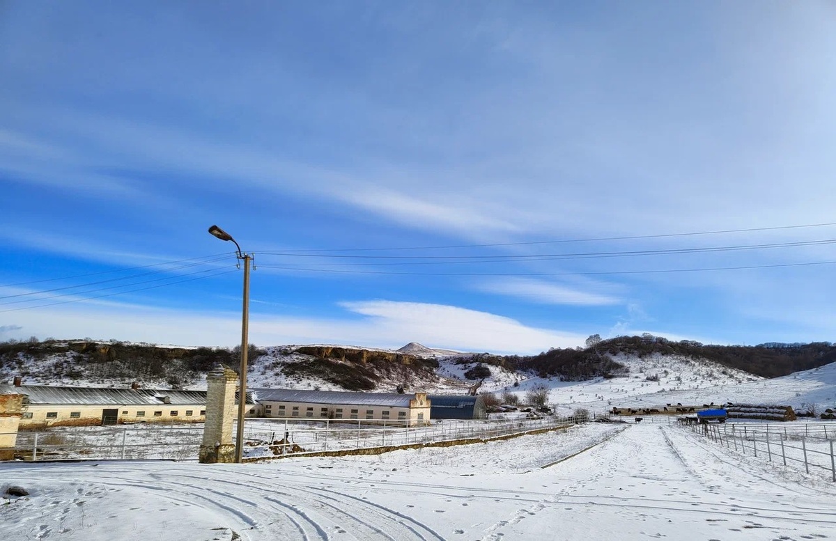 конный завод