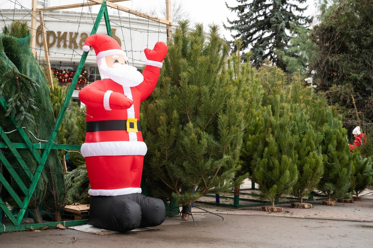 Фото: Гала Амарандо