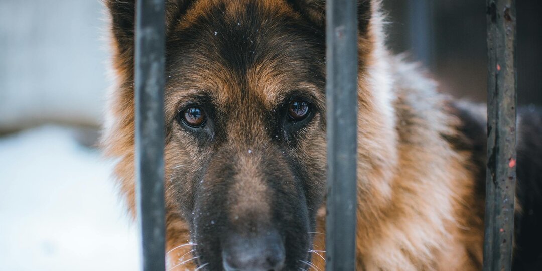 Уходи и не возвращайся