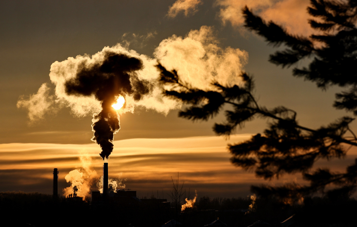 Валерий Шарифулин/ТАСС