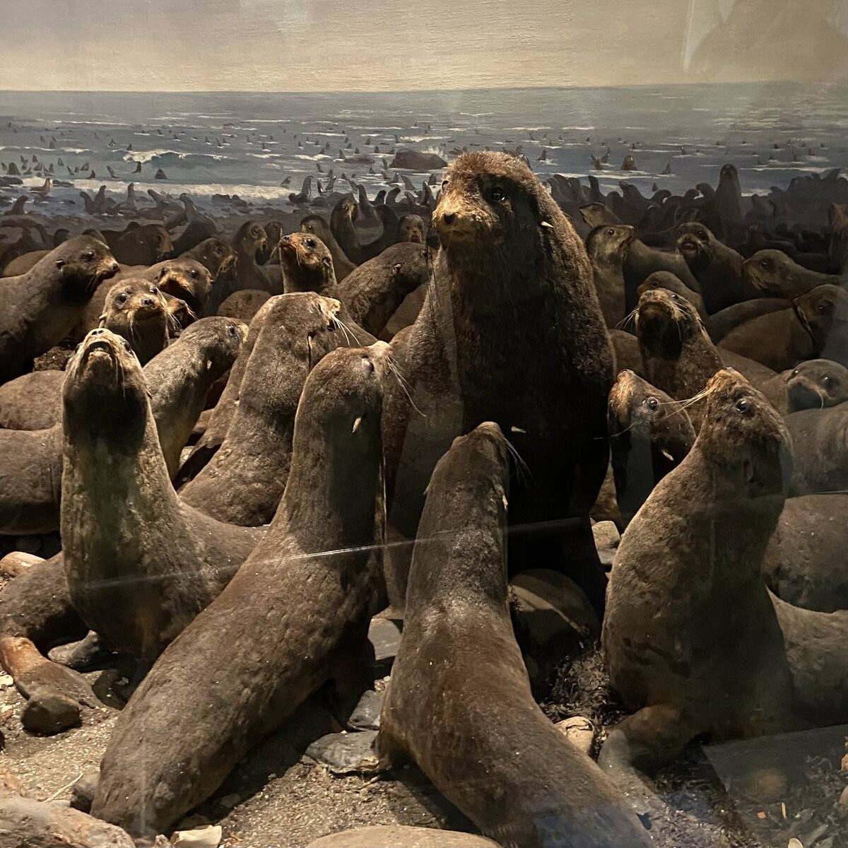 Фото ПетербурGO