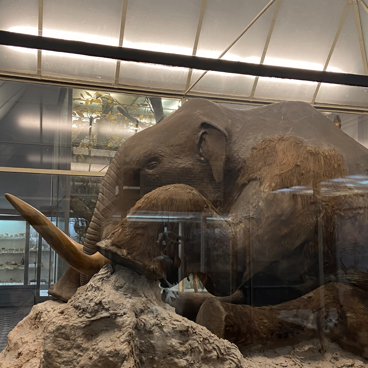 Фото ПетербурGO 