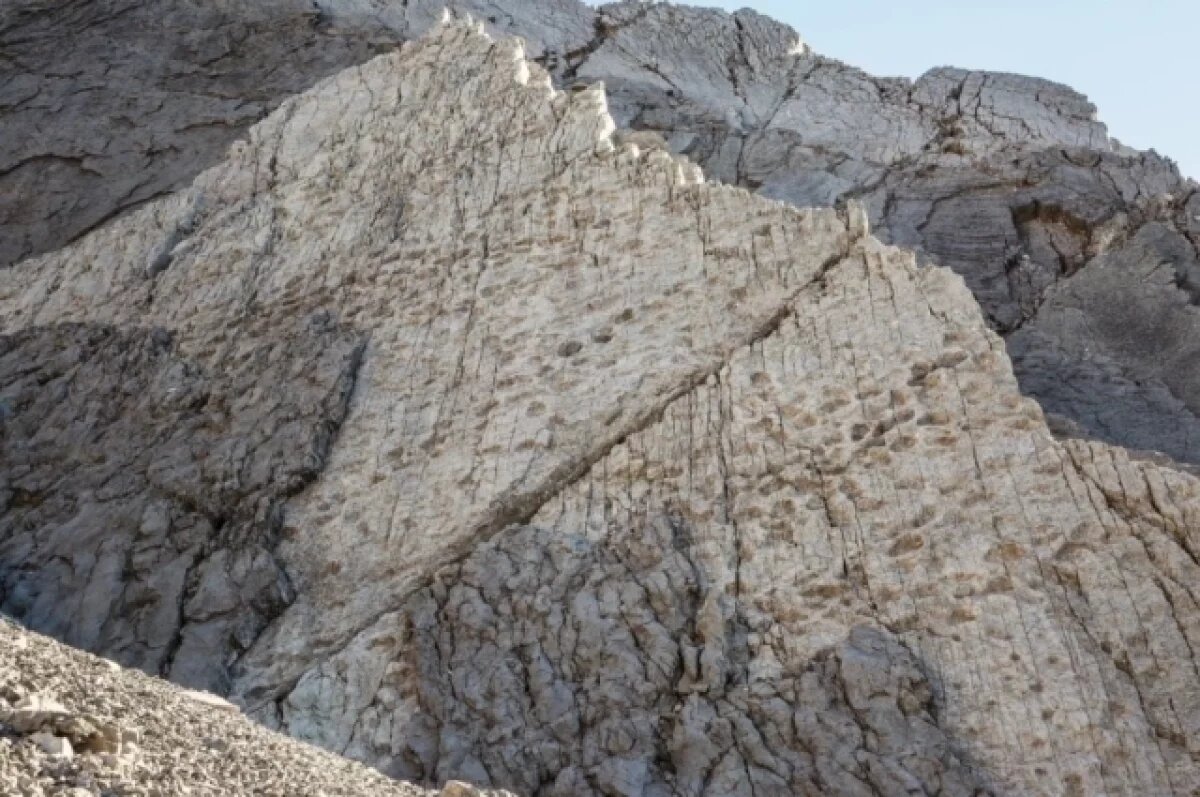    Тысячи следов динозавров обнаружили возле площадки Олимпийских игр в Италии