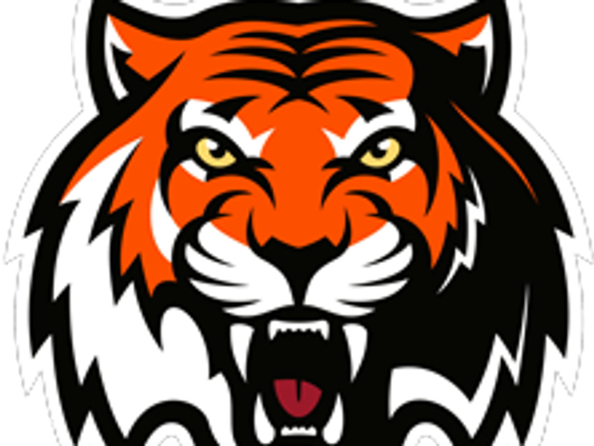    Логотип ХК "Амур" | © Фото