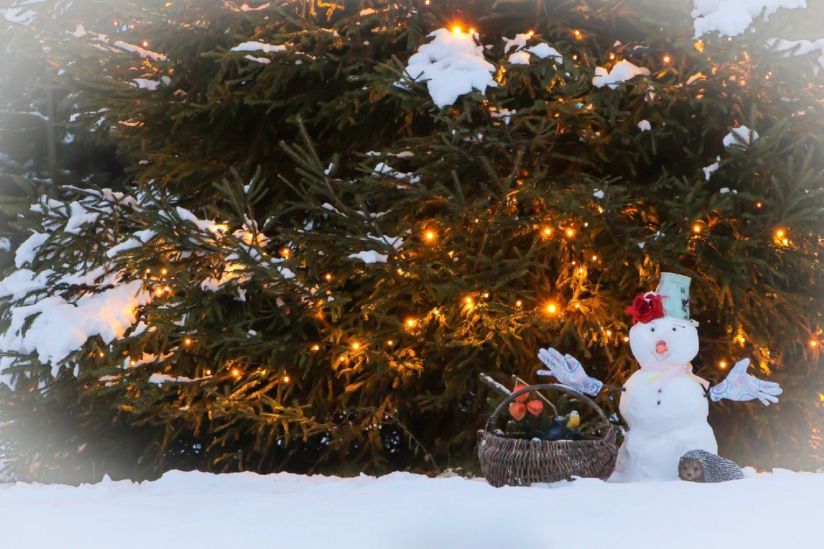    Фото: iStock/Svetlana Rozina