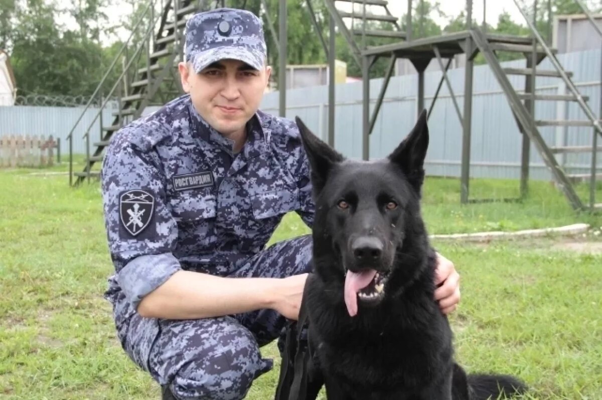    Артур и Лорд очень любят свою работу.