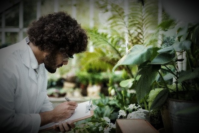 Из открытых источников