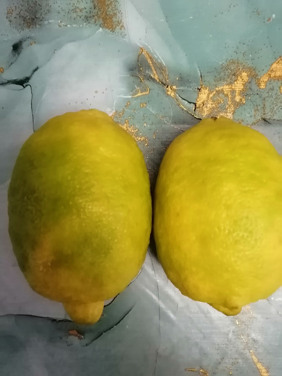 На фото не видно, но они очень большие.