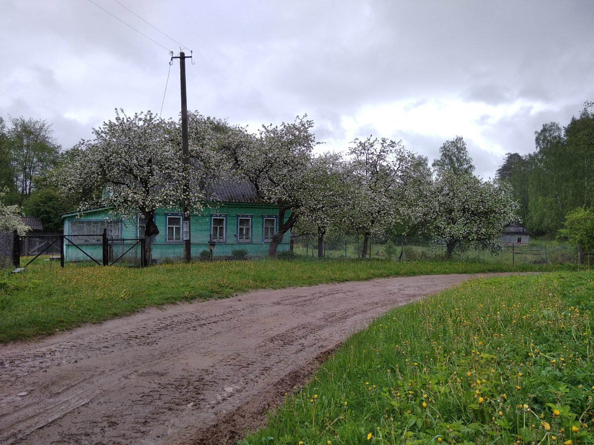 Родительский дом.