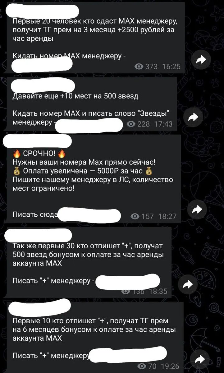    Фото: скриншот из телеграм-канала Екатерины Мизулиной