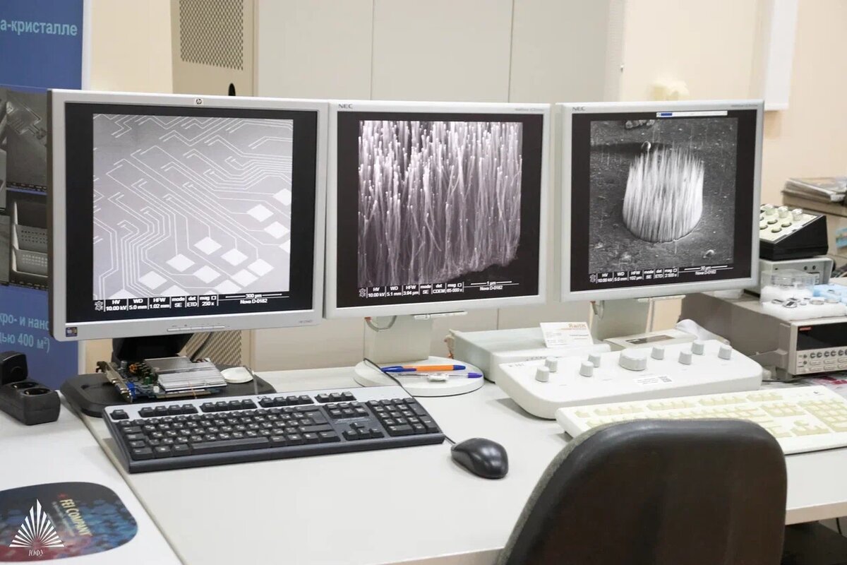    Фото: пресс-центр ЮФУ