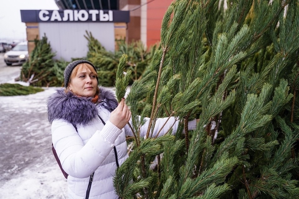    В Самаре в 2025 году работает 140 официальных елочных базаров Светлана МАКОВЕЕВА