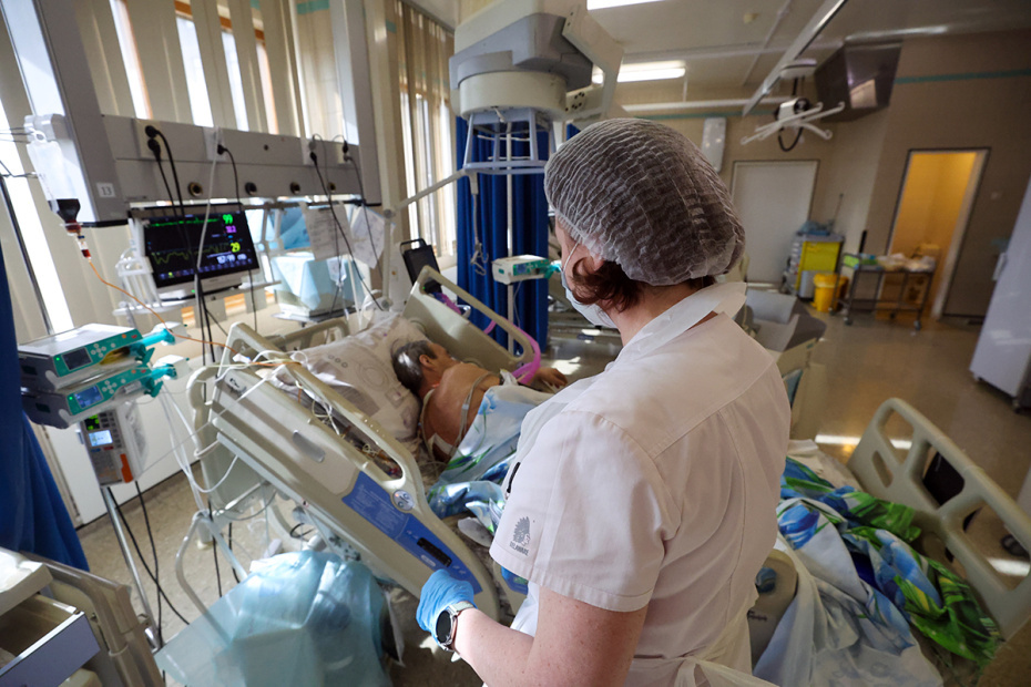    Алексей Белкин/NEWS.ru