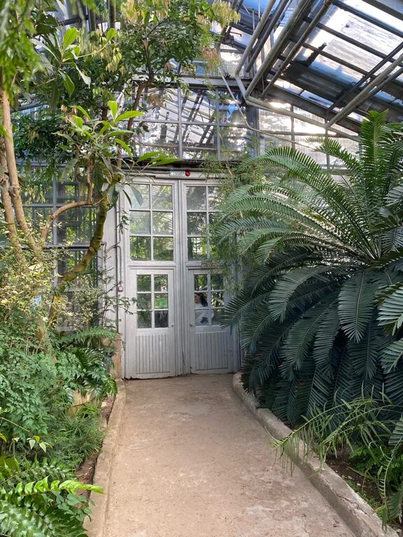 ботанический сад