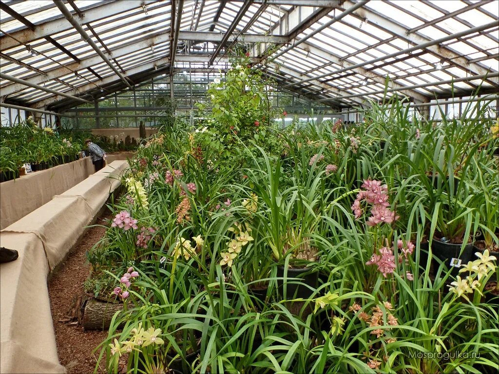 ботанический сад