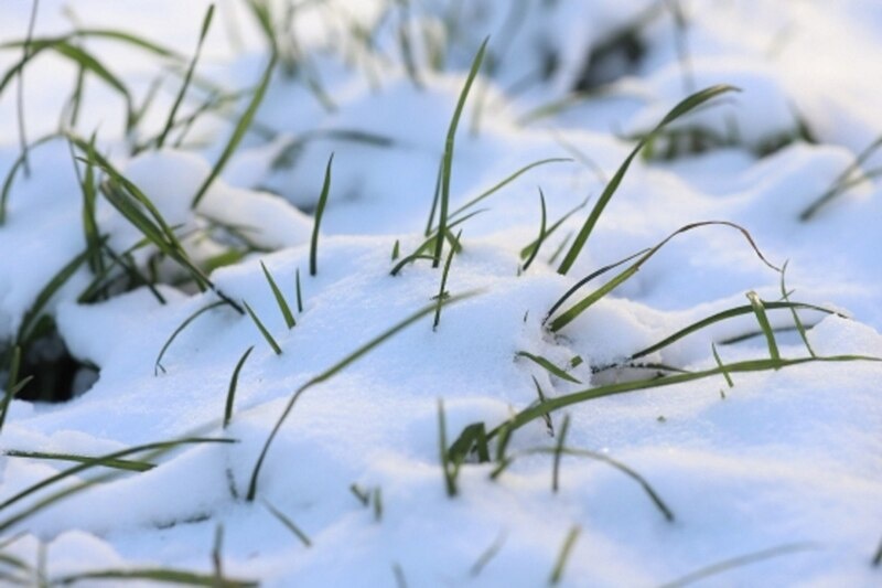    Иллюстрация Ростовского отделения СЖР admin