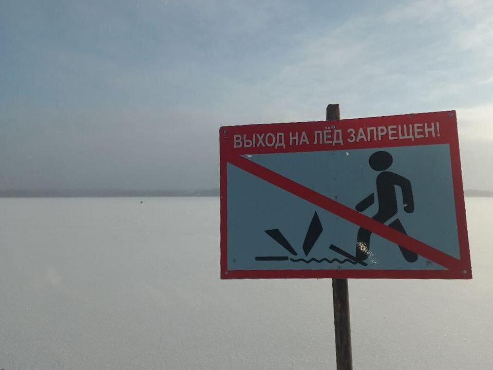  Фото: гКУ МО 