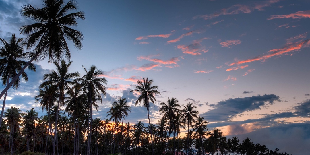 Гражданство Сан-Томе и Принсипи: общий подход