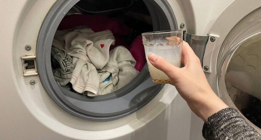    Автор фото - Анна Ефимова