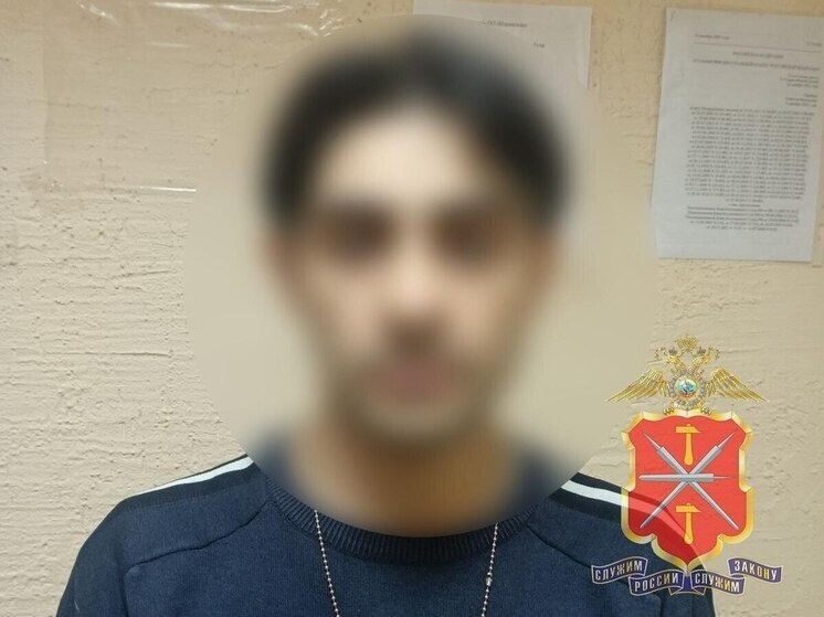     фото: Полиция Тульской области