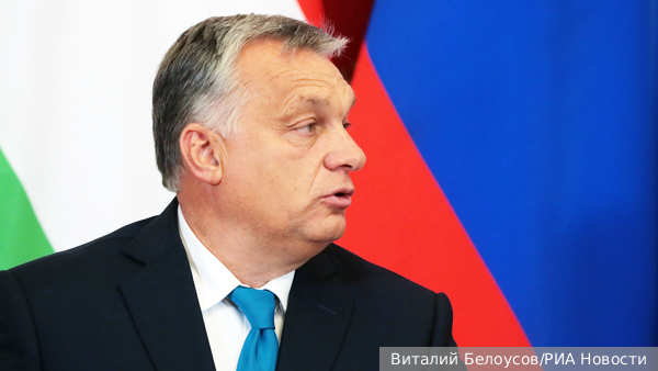     Фото: Виталий Белоусов/РИА Новости   
 Текст: Тимур Шайдуллин