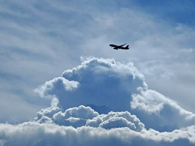    Фото: Юрий Серебренников/BFM Кубань