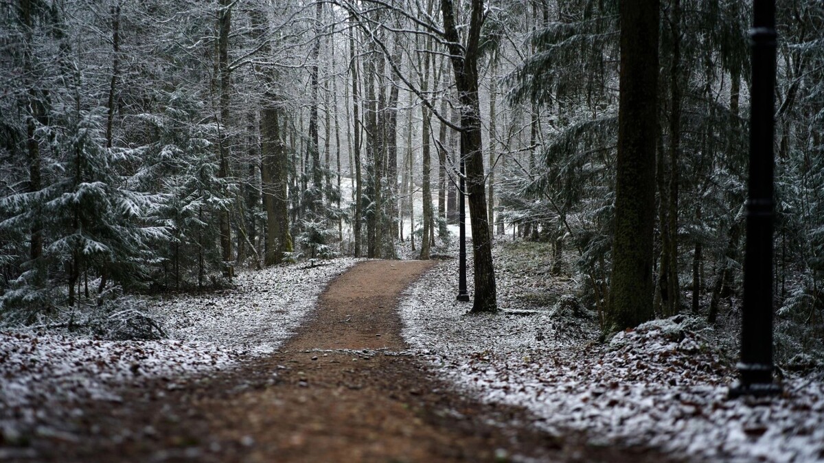    Фото: nadia_if/Shutterstock/Fotodom