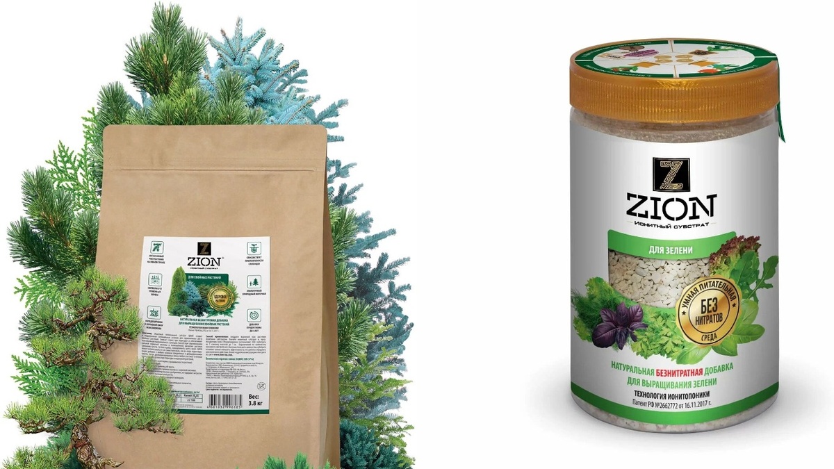 Основа Циона — цеолит с биодоступным кремнием