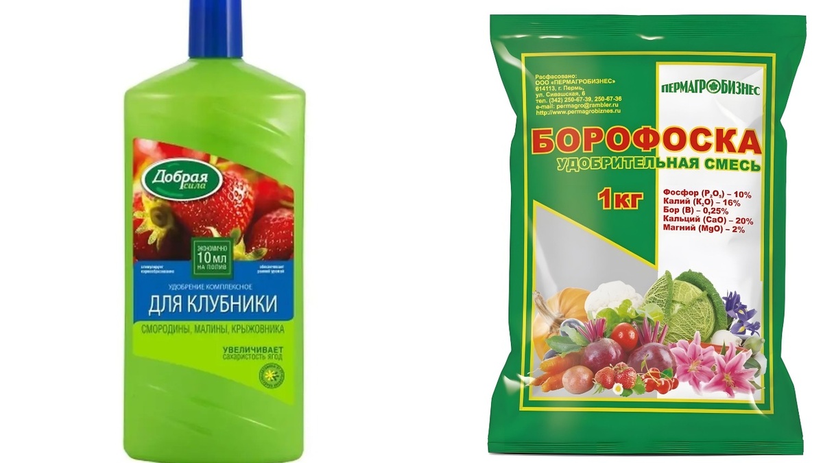 Мой набор для проверки