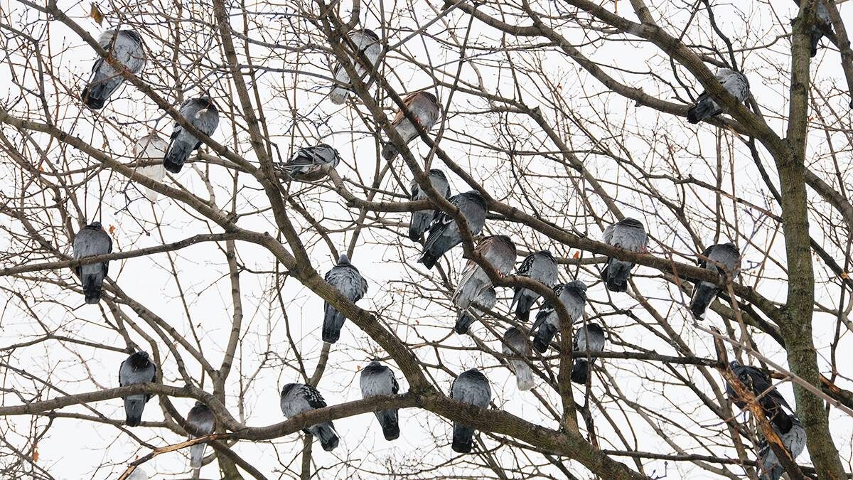    Фото: АГН Москва