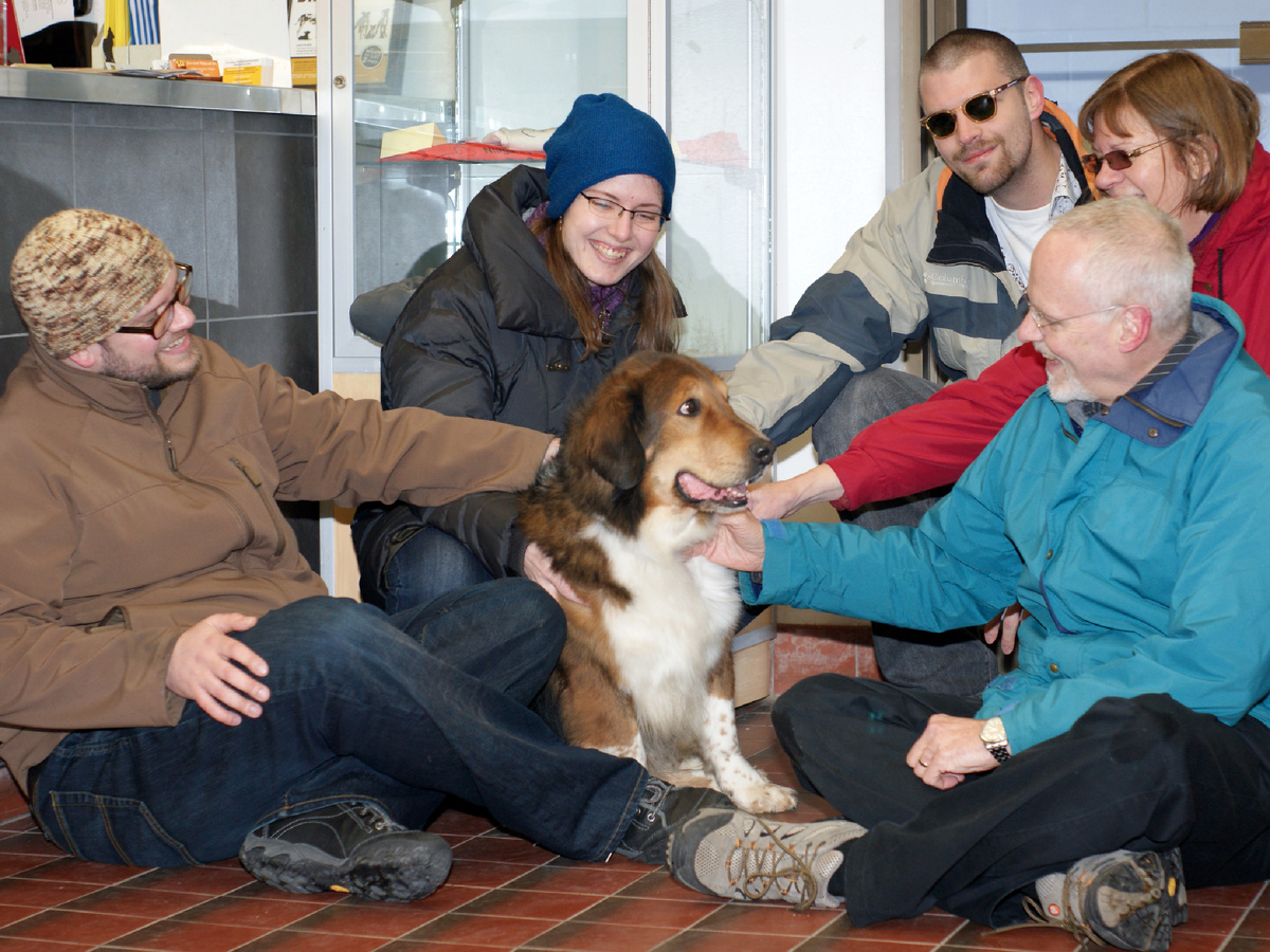 Да, исследования учёных мужей подтвердили, что уровень гормона стресс у собак в приюте сильно повышен. Вот только он падает до нормы через 3–4 дня после попадания в дом. Исследования М. Б. Хеннесси, 1997. Фотография: The Bees, CC BY-NC 2.0