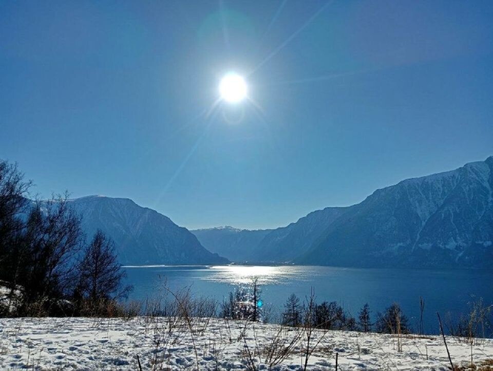    Зимнее солнце над Белинской террасой. Источник: Марина Телекова / t.me/altzap