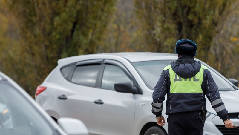      Фото: Дмитрий Ахмадуллин / / ИА «Победа26»