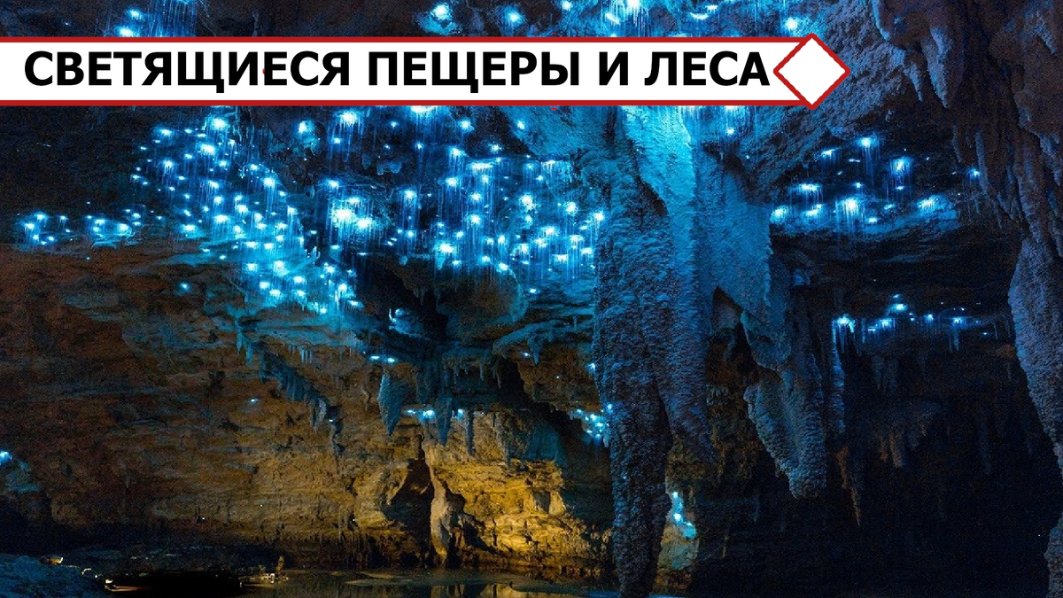  В пещере Вайтомо