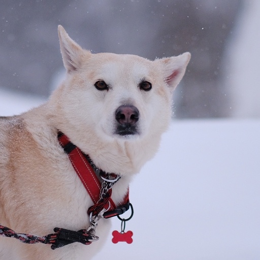 А ко мне два раза приезжали, но не сложилось... У них