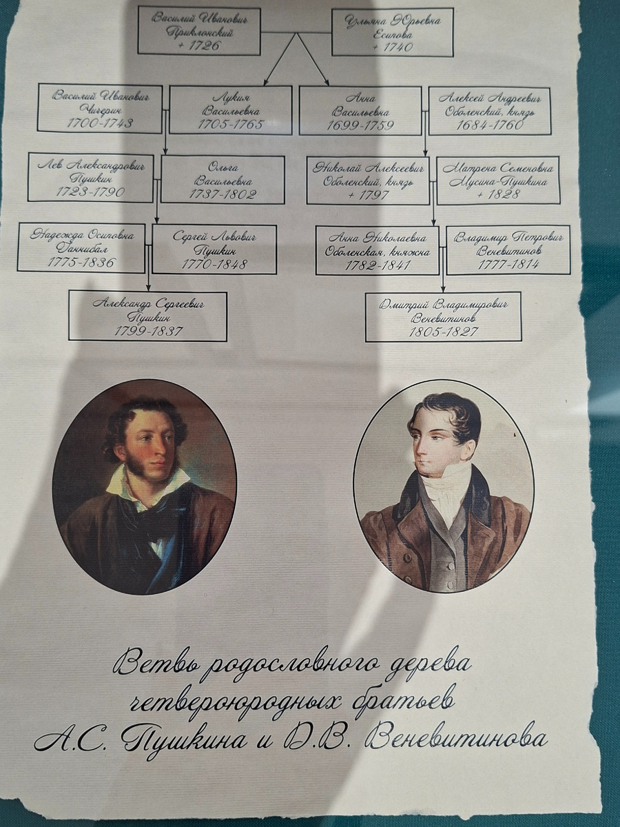 фото  схема родственных связей.