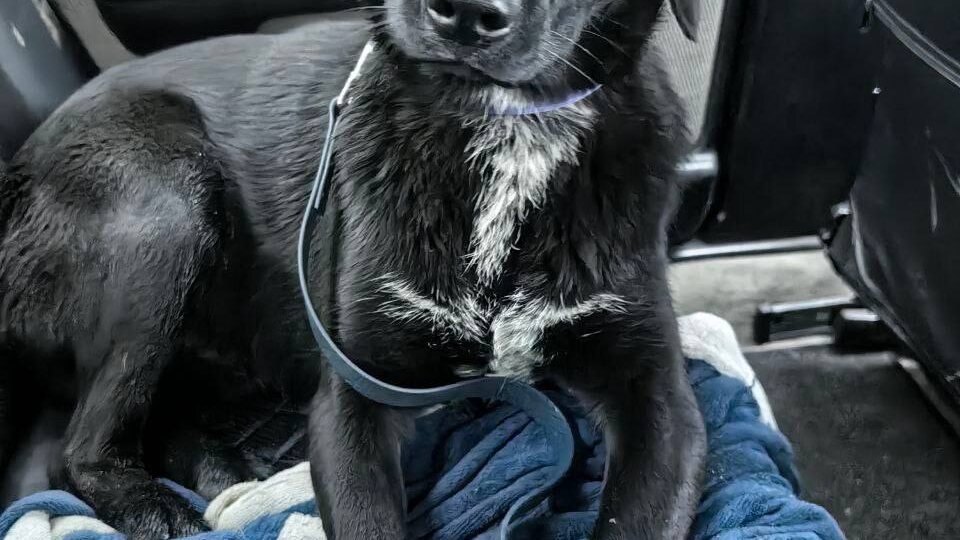 Чудеса случаются 🧡 Маленькое чудо случилось с героем сегодняшнего дня