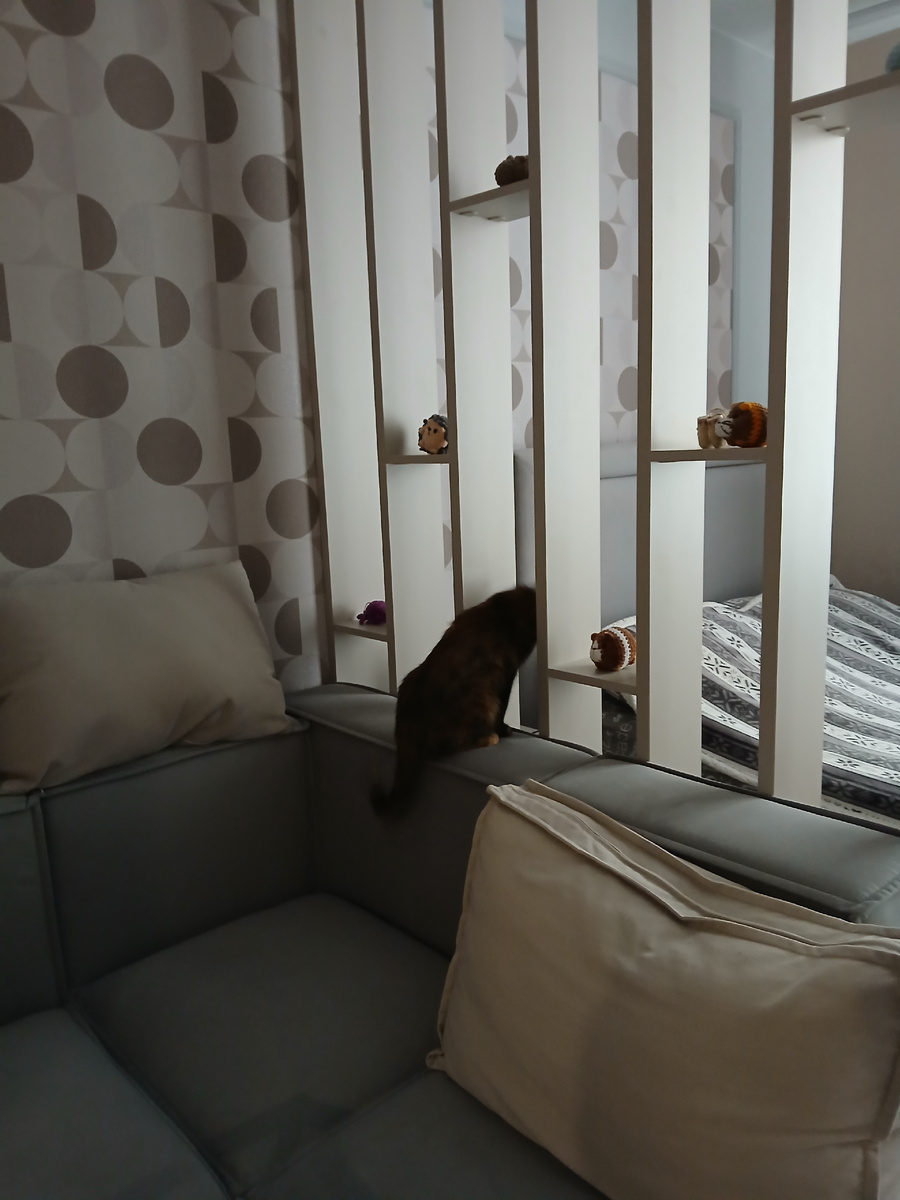 Сразу залезла на диван.