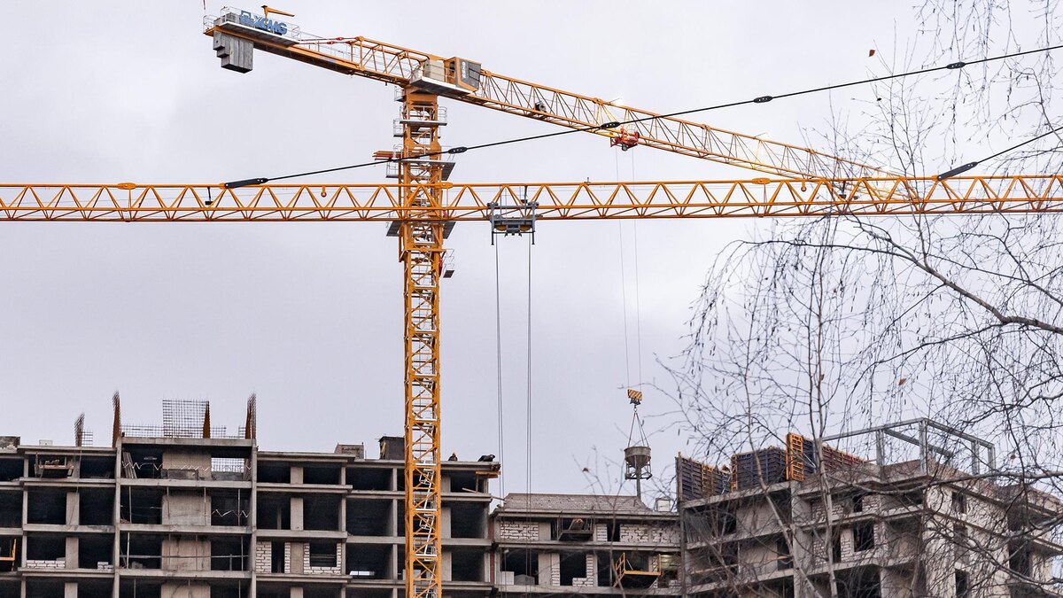    Фото: Oleg Spiridonov/globallookpress.com