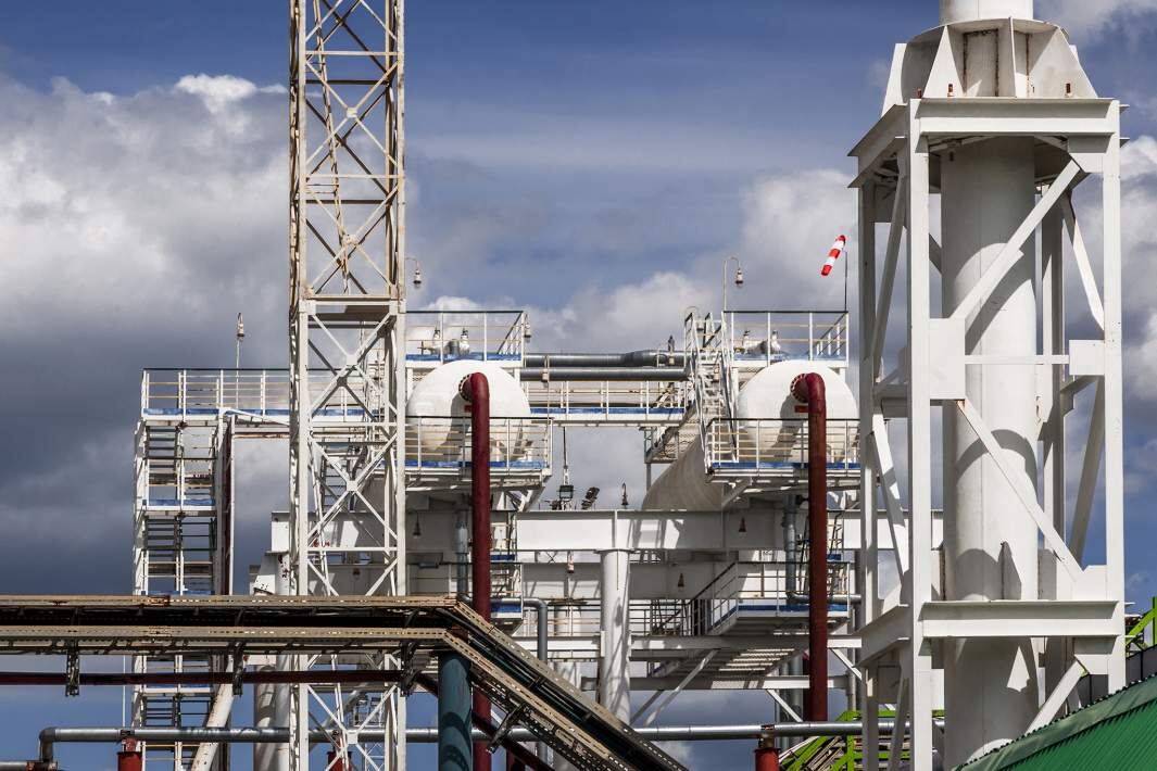 Фото: ИЗВЕСТИЯ/Константин Кокошкин