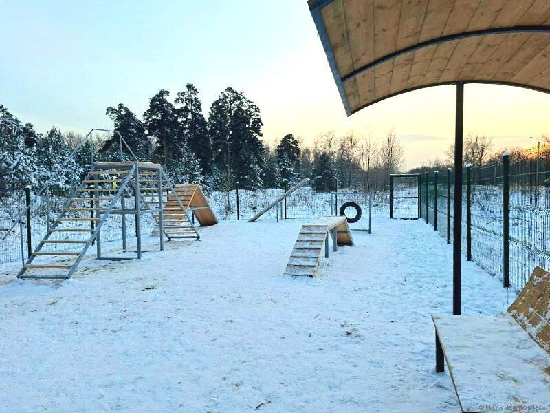    Фото: МКУ «ПермГорЛес» Полина Анкушина