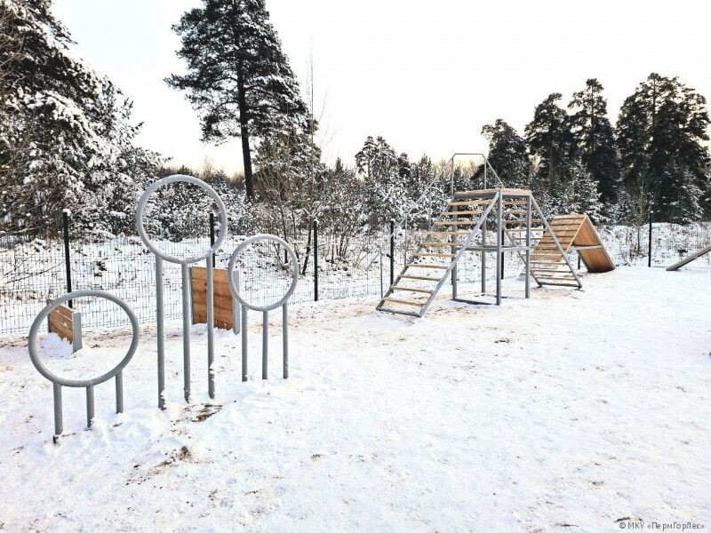    Фото: Фото: МКУ «ПермГорЛес» Полина Анкушина