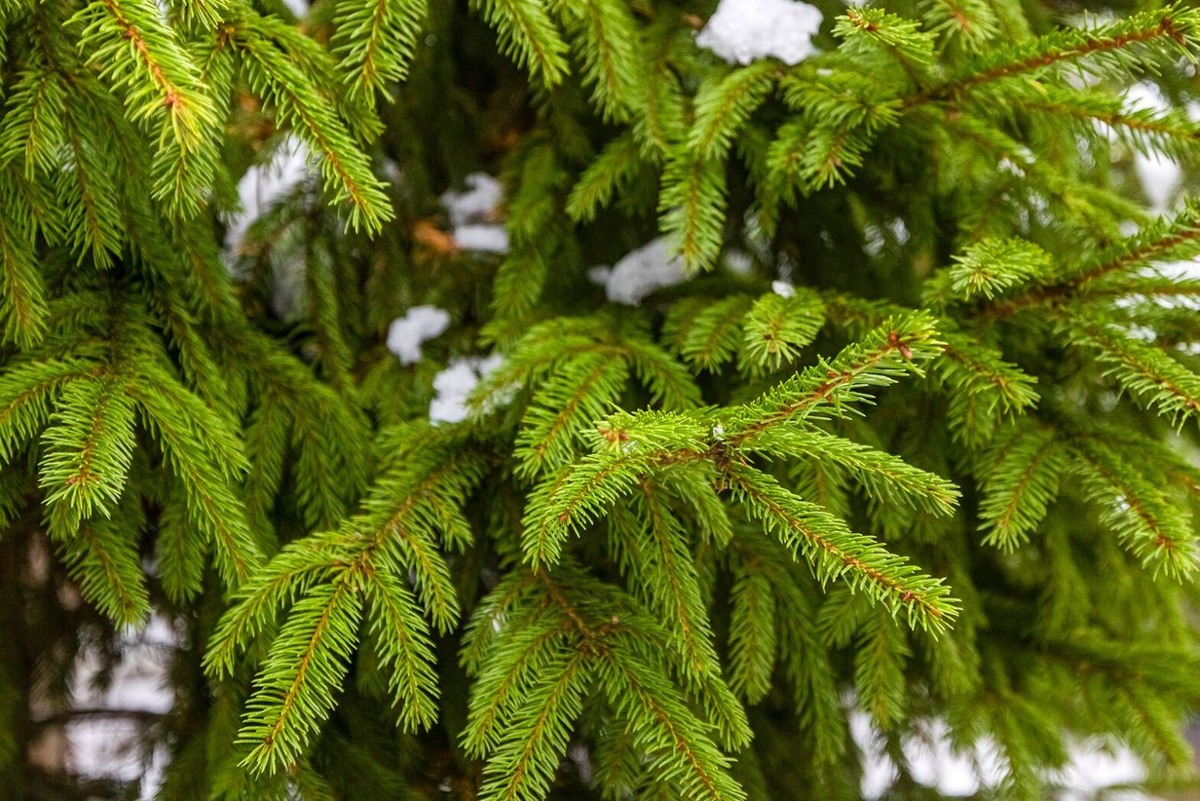    Фото: Игорь Захаров/mos.ru