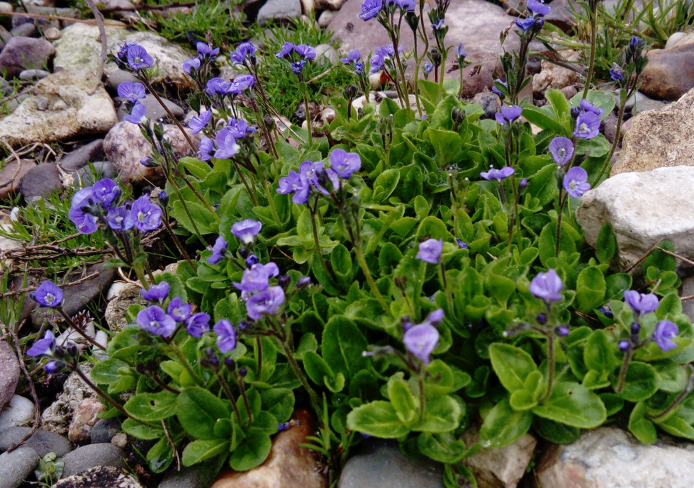 для примера