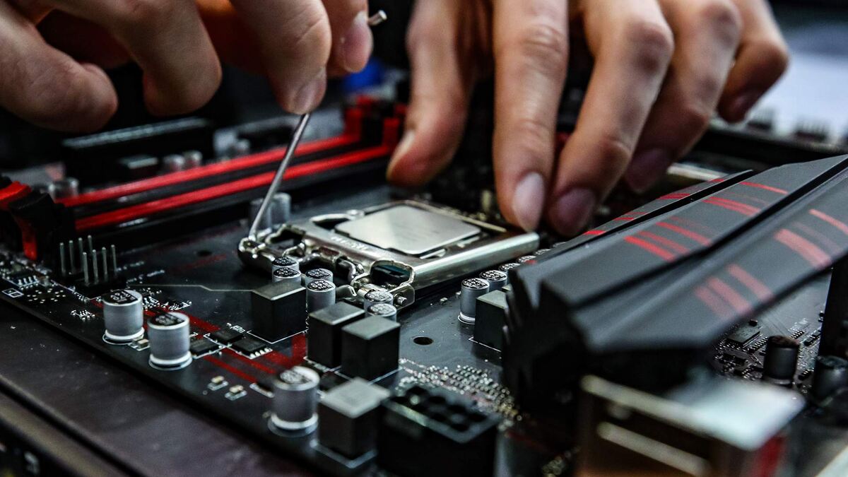 Фото: Global Look Press/Lantyukhov Sergey