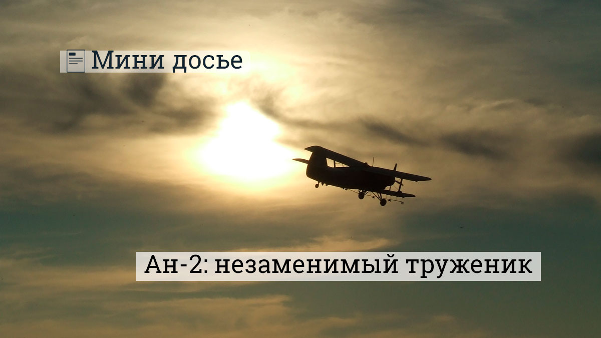 Источник pxhere.com