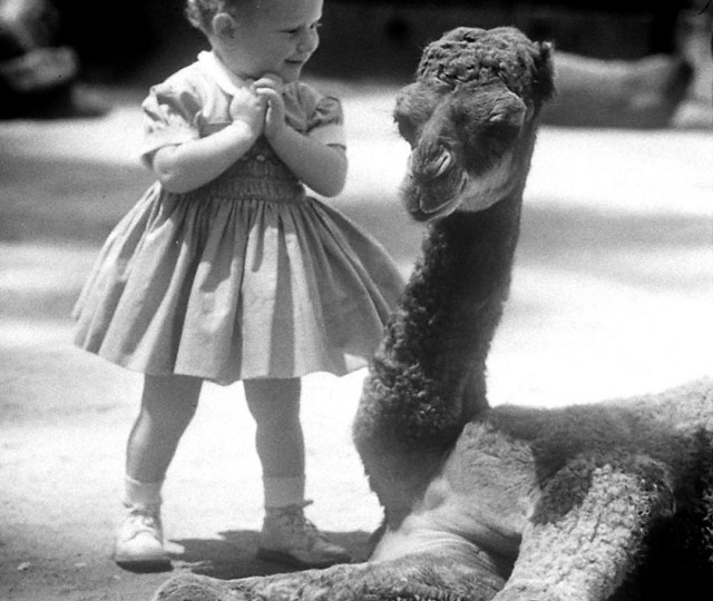 Редкие исторические кадры, которые восхищают даже профессиональных фотографов | Подборка для вдохновения.