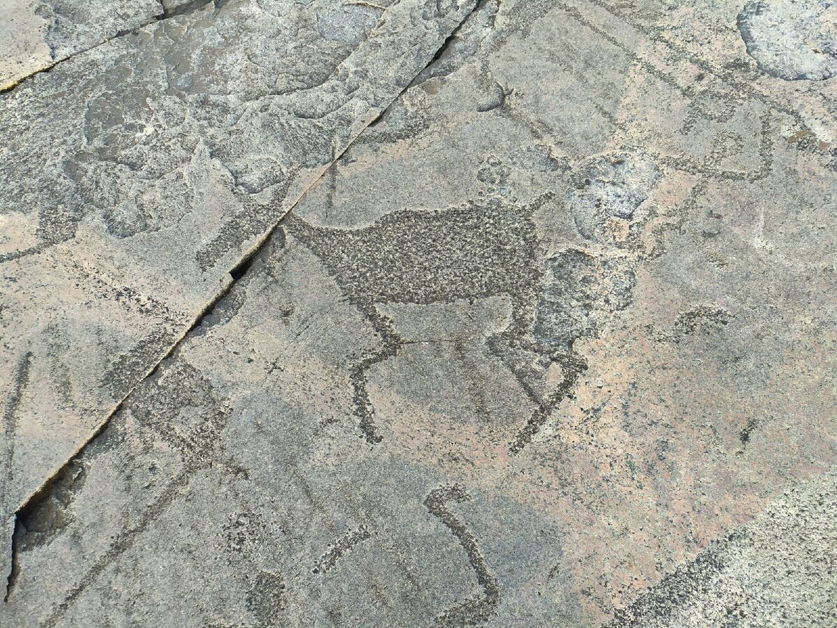    фото: © Столица на Онего